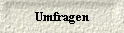 Umfragen